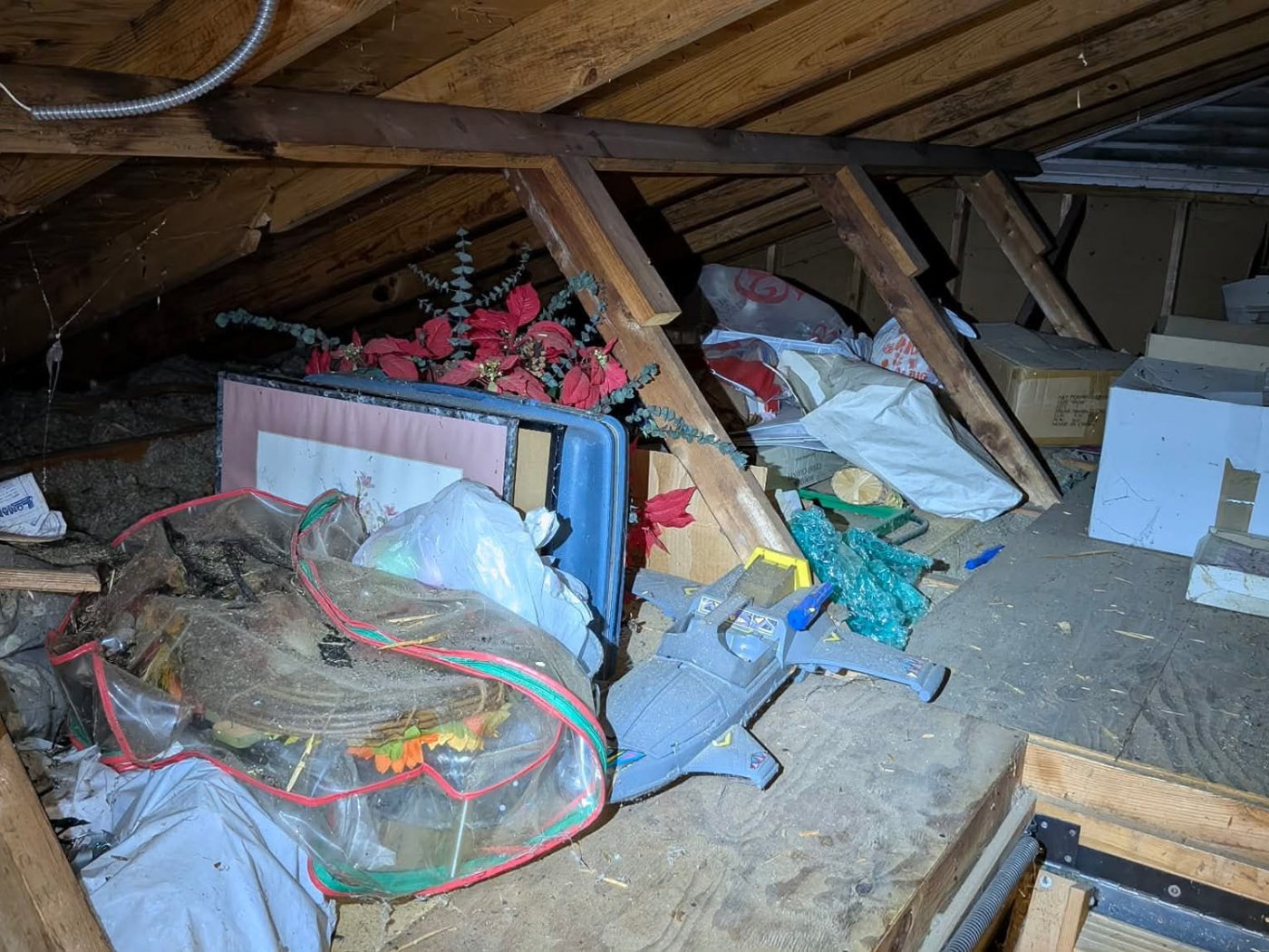 Attic Storage Haul-Away — before